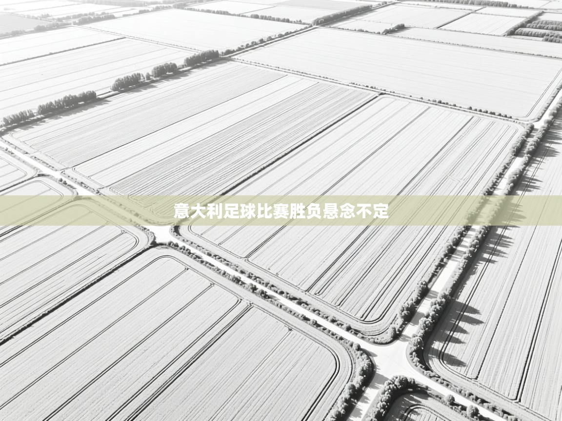 意大利足球比赛胜负悬念不定 第2张