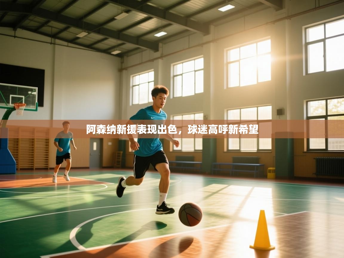 阿森纳新援表现出色，球迷高呼新希望  第1张