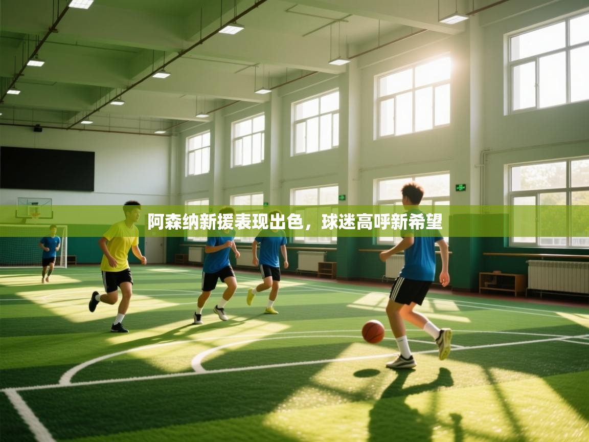 阿森纳新援表现出色，球迷高呼新希望  第2张