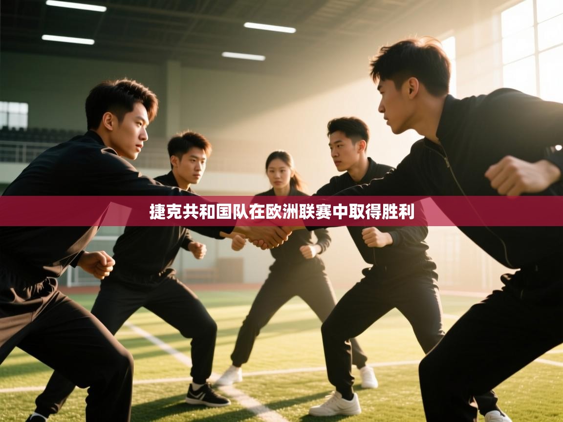 捷克共和国队在欧洲联赛中取得胜利  第2张